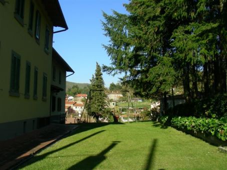 DOCCIOLA