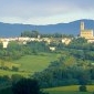 DOCCIOLA - Foto 3